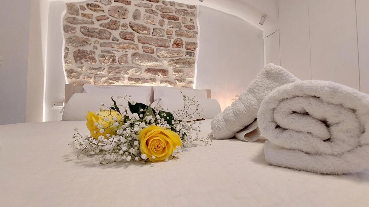 Mouses Erato Apartment *